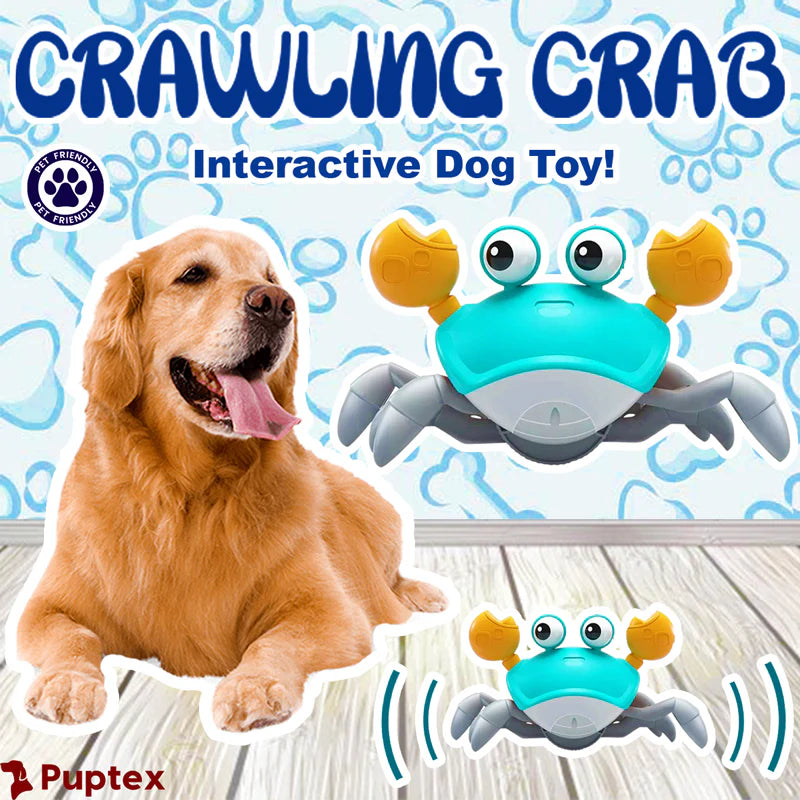 Fur & Fern Interactive Crawling Crab Dog Toy