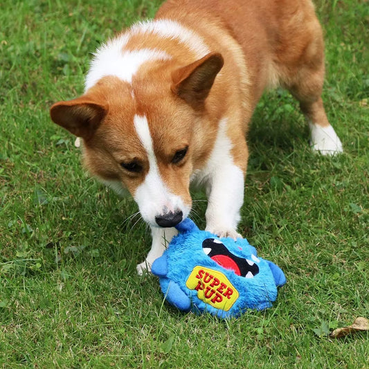 Fur & Fern Interactive Giggle Ball Dog Toy