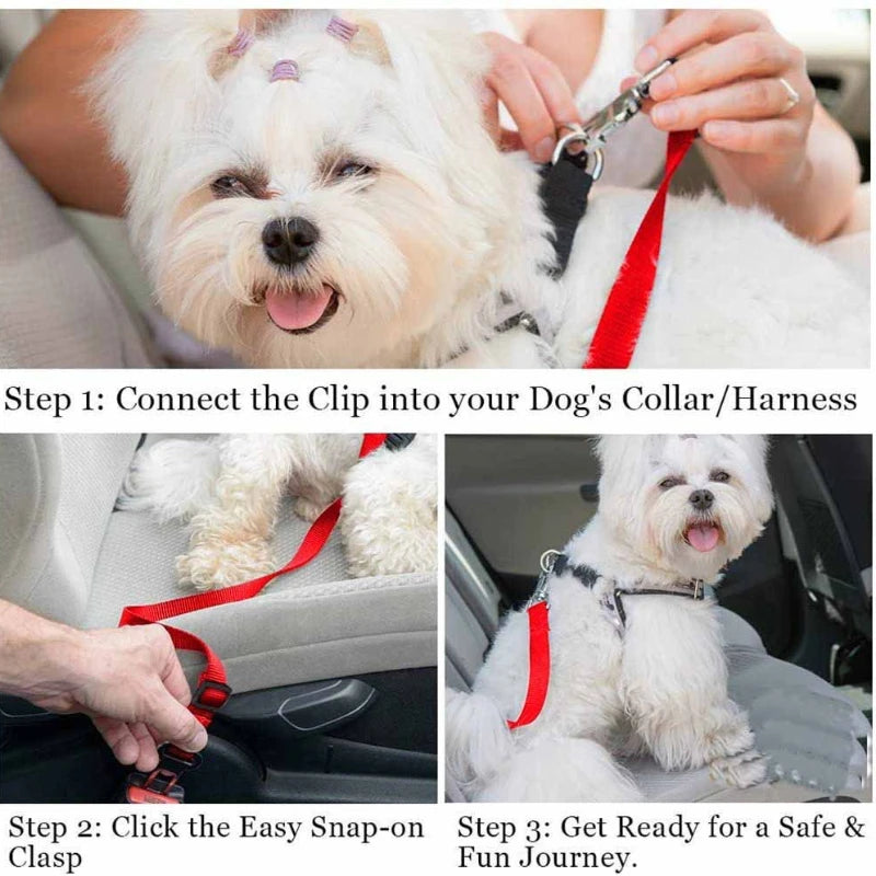 Fur & Fern Adjustable Dog Car Restraint Lead